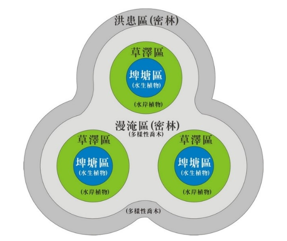 滯洪、生態、環境營造系統概念圖